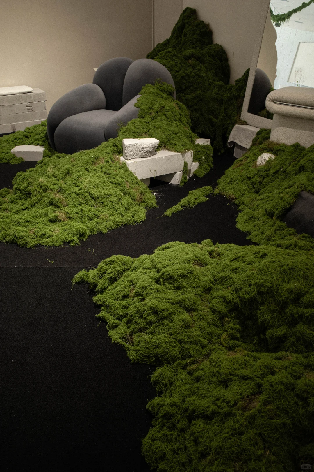 误入一片绿色海洋