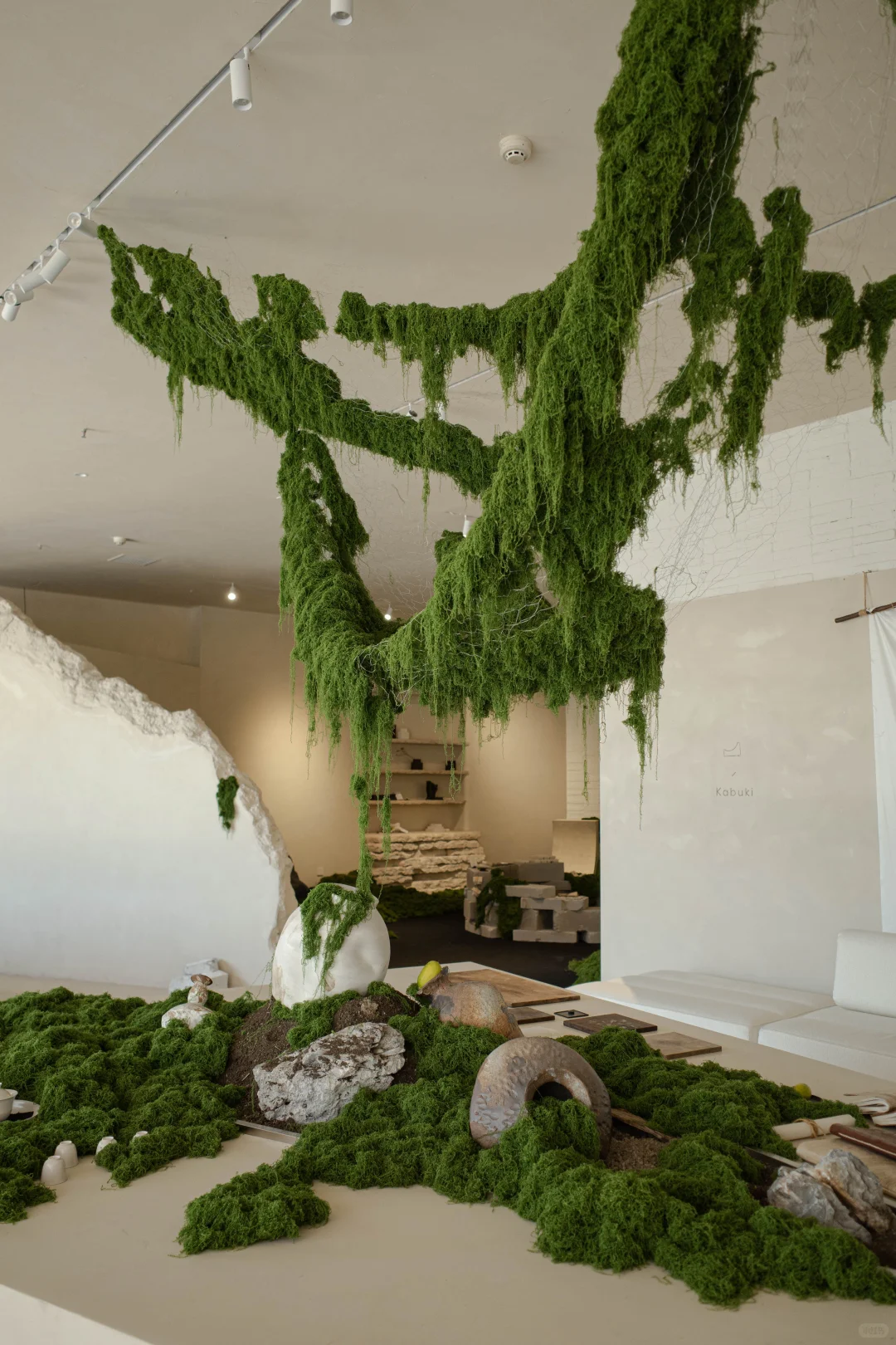 误入一片绿色海洋