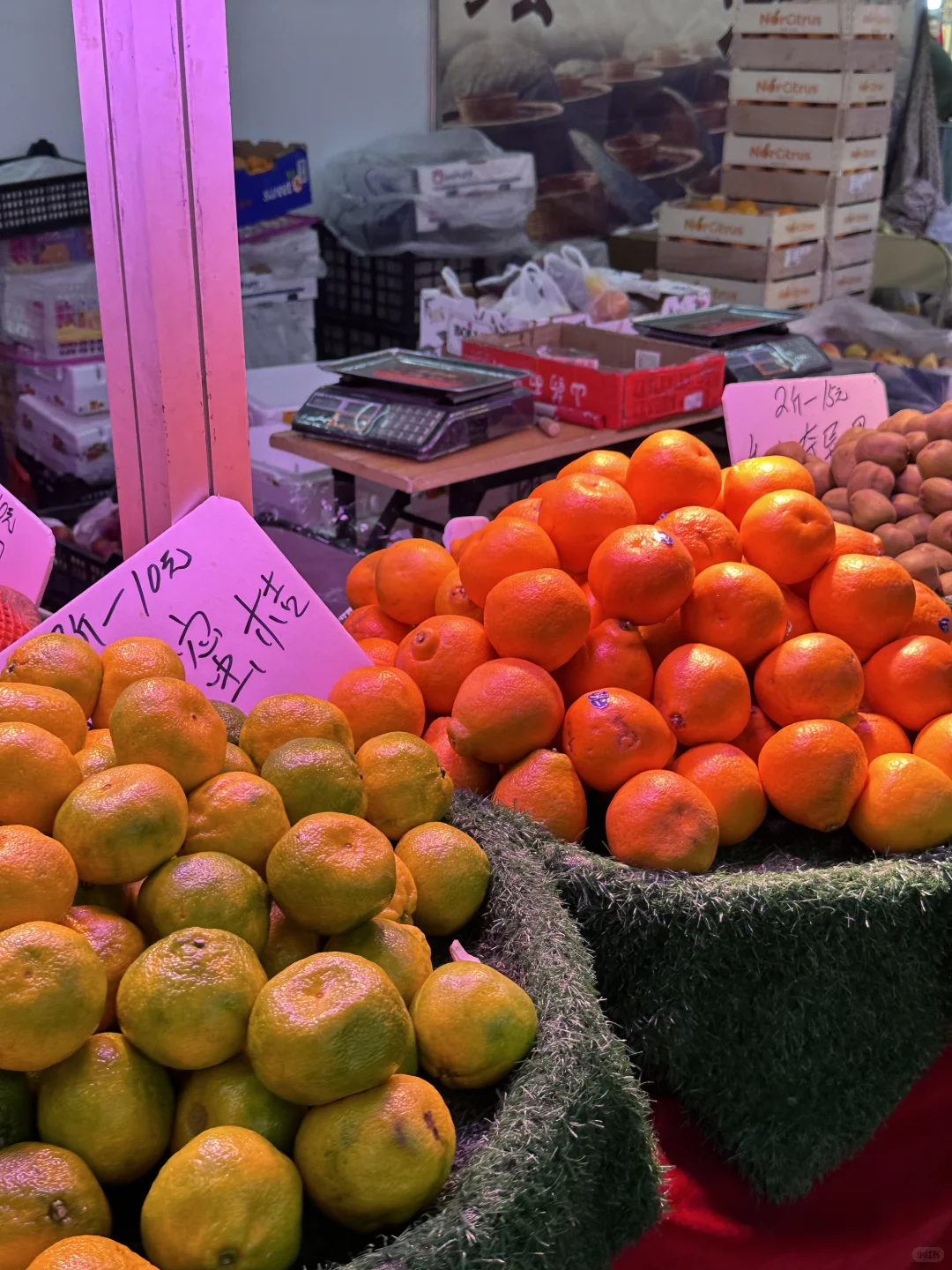 大学生勇闯辽宁工业展览馆版 上?️