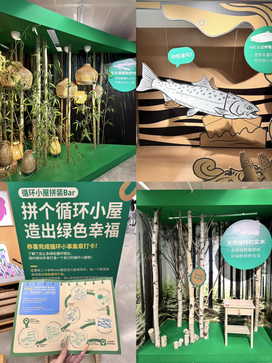 宜家绿色生活节?这么大的杯子你见过吗？