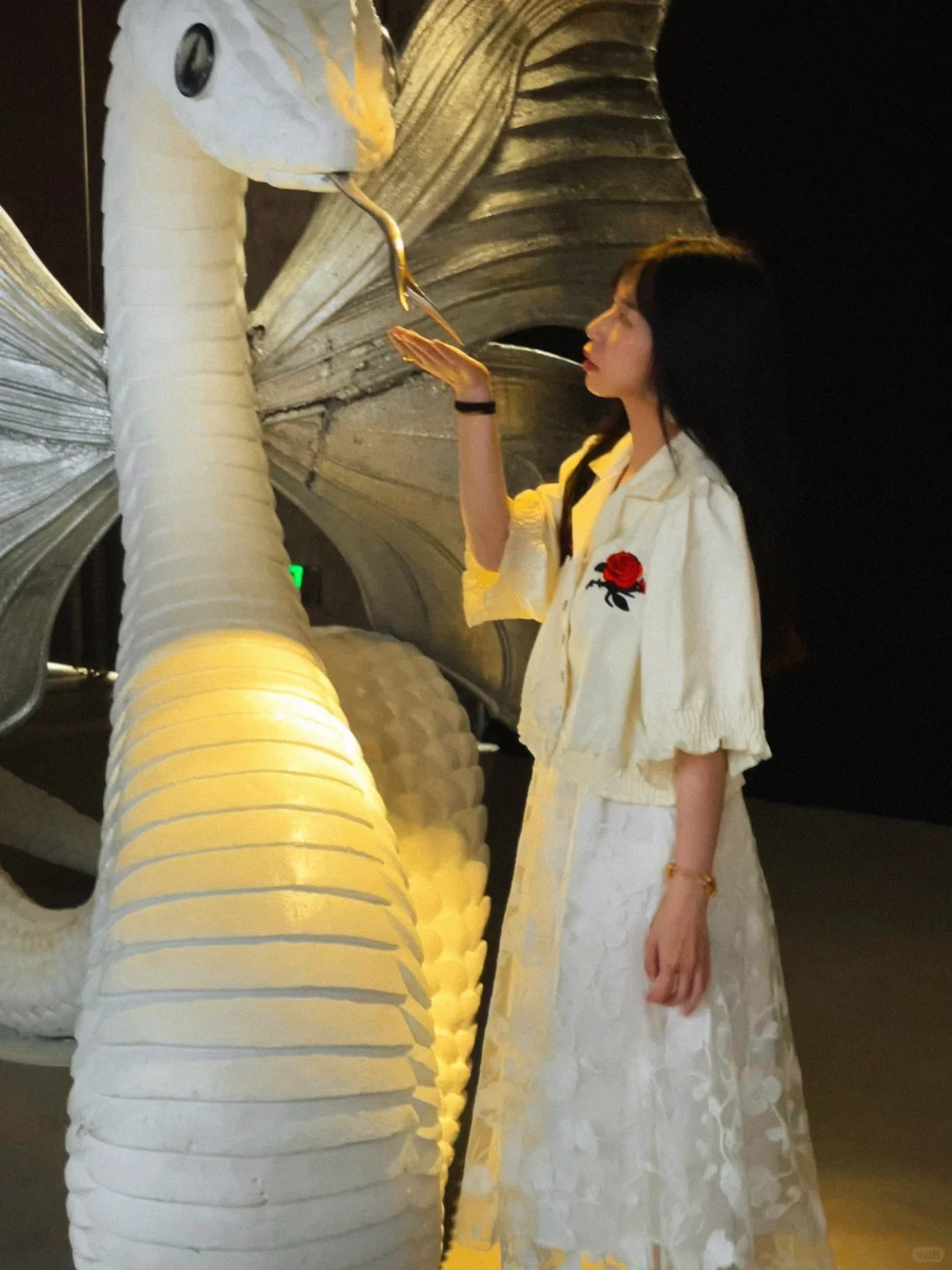 深圳新展｜发朋友圈被赞爆了