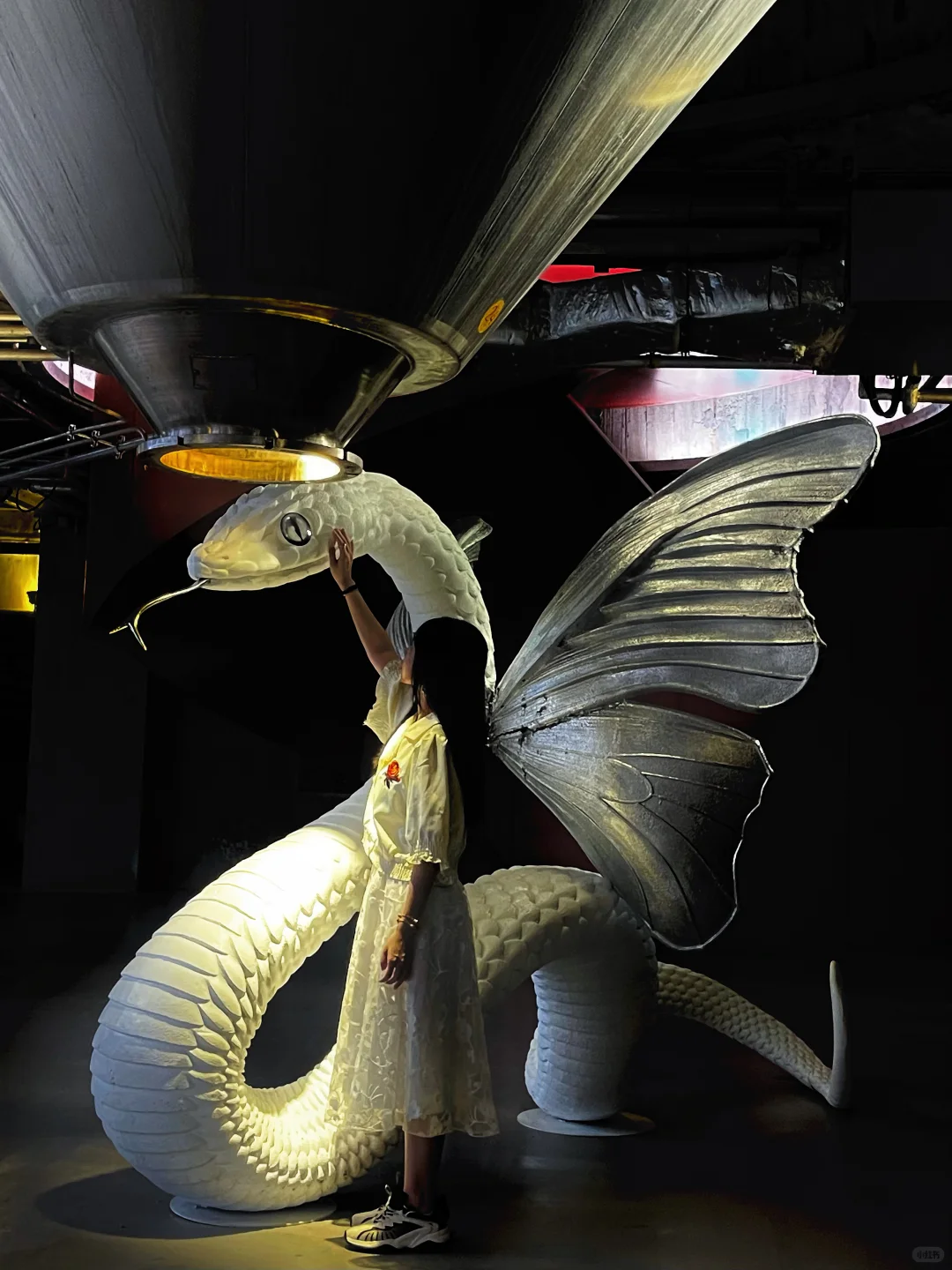 深圳新展｜发朋友圈被赞爆了