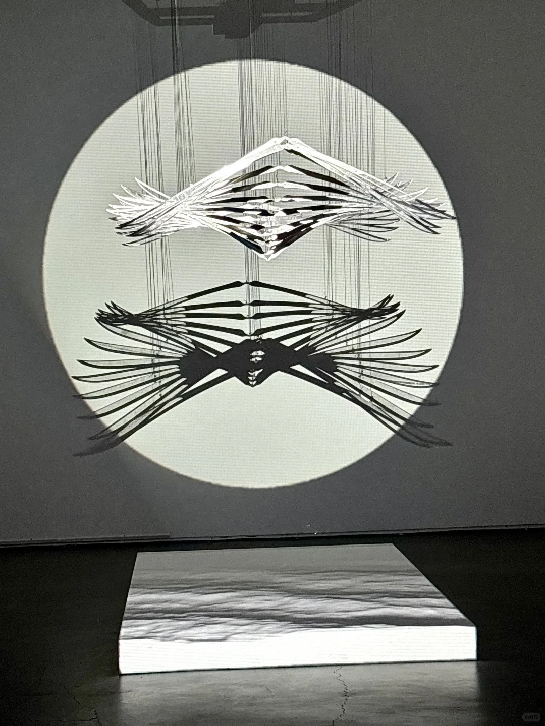 北京新展｜GIF展治好了我的精神内耗⚙️