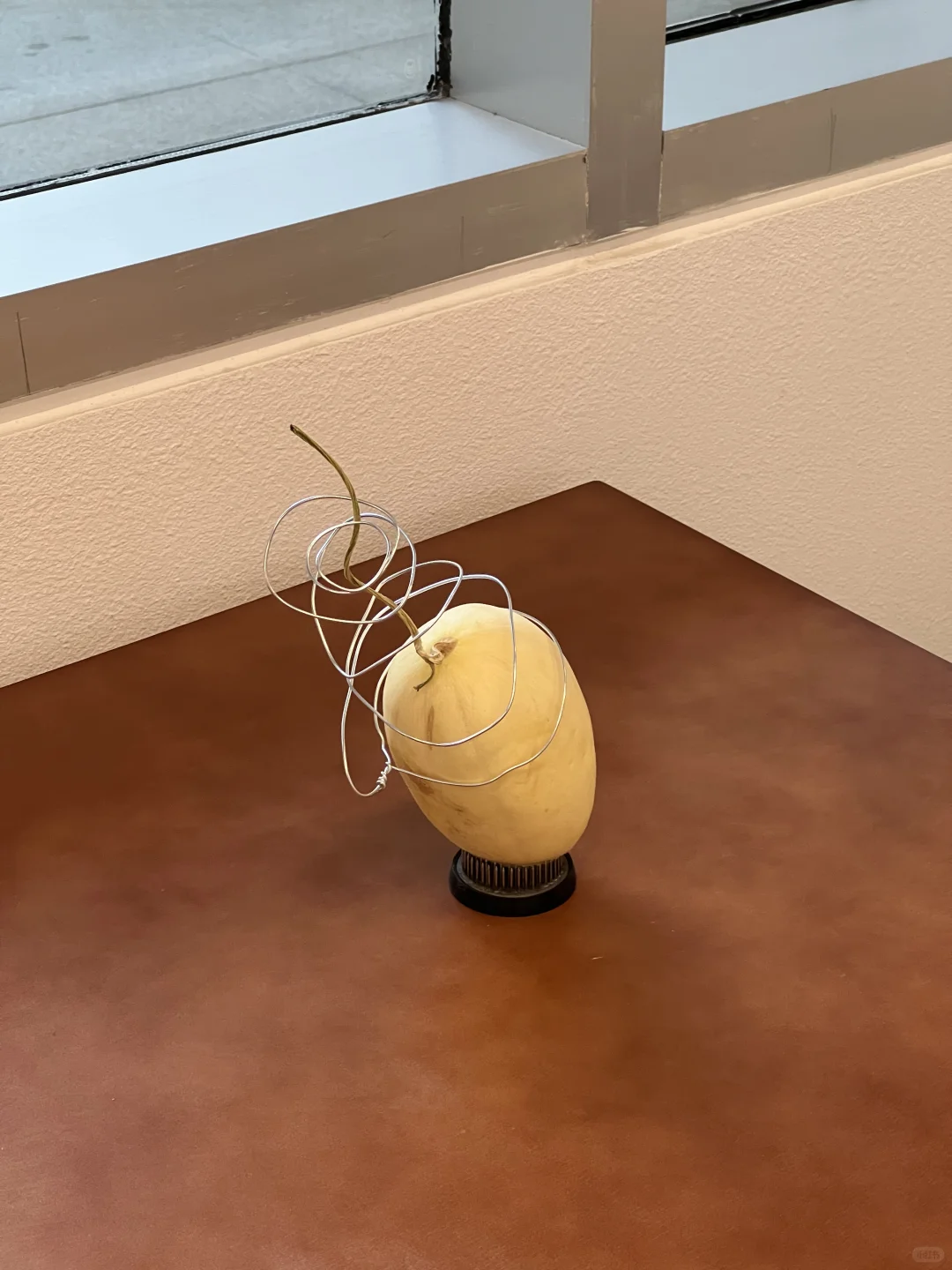 建议时尚爱好者一定要来这个设计展