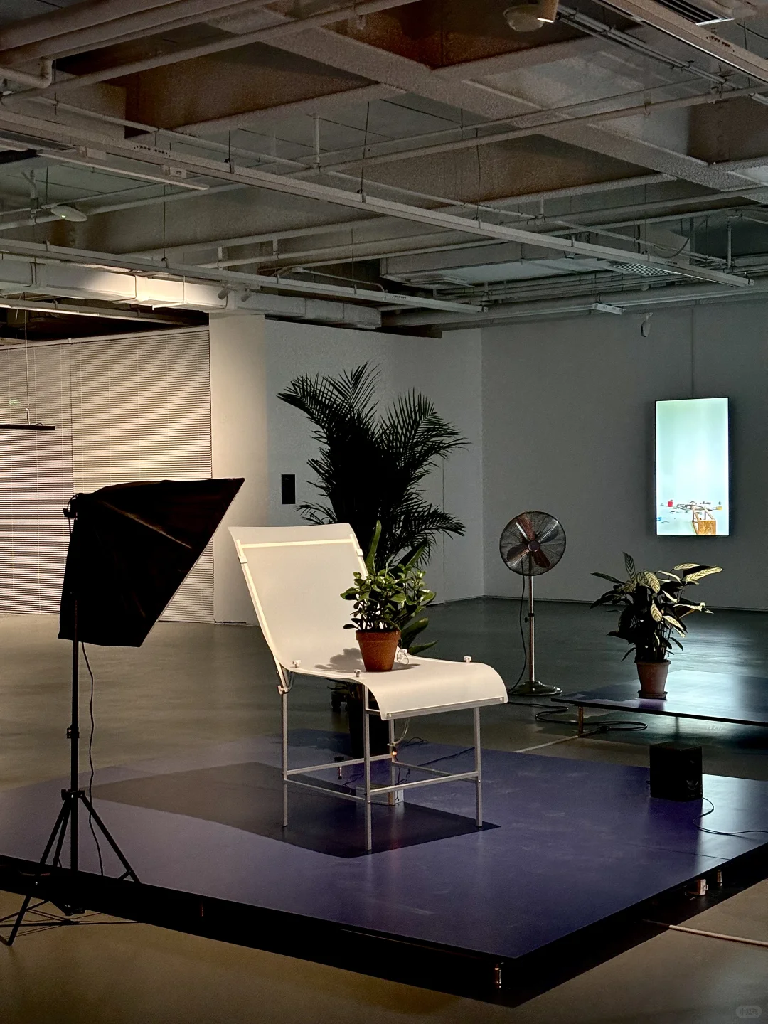 北京新展｜GIF展治好了我的精神内耗⚙️