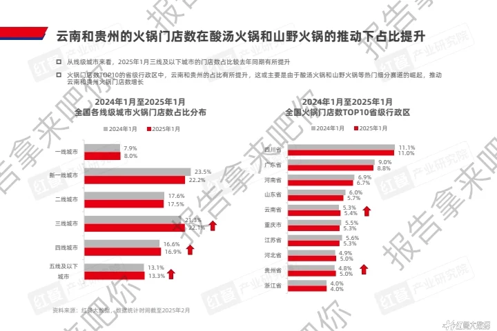 56页｜2025火锅产业发展报告