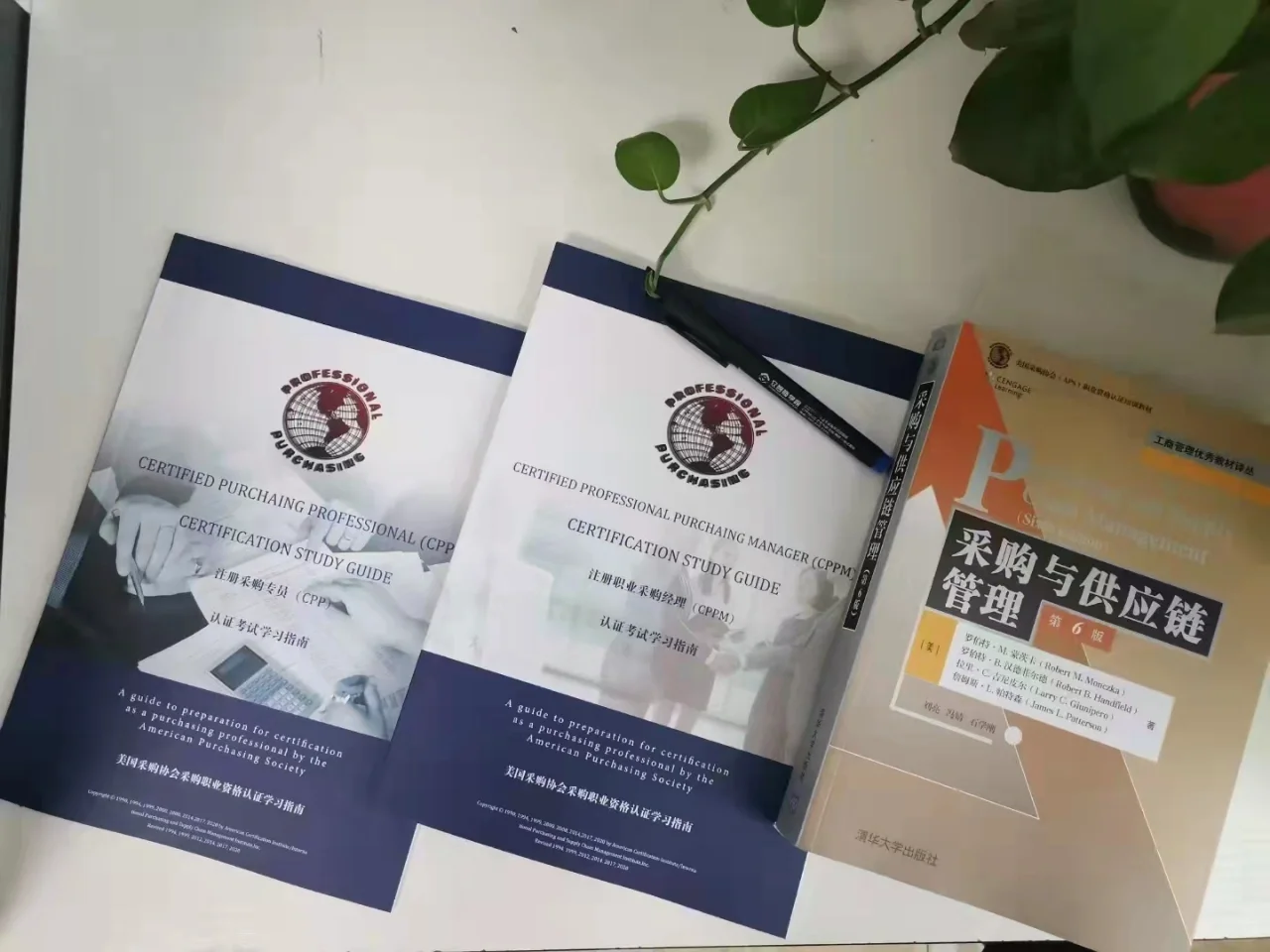 这是一篇采购部门的采购方案