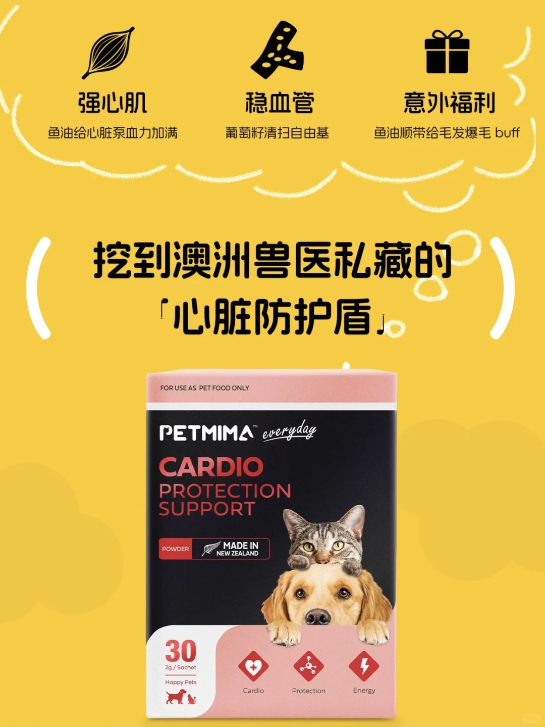 PETMIMA 送你亚宠展门票啦！一起来玩！