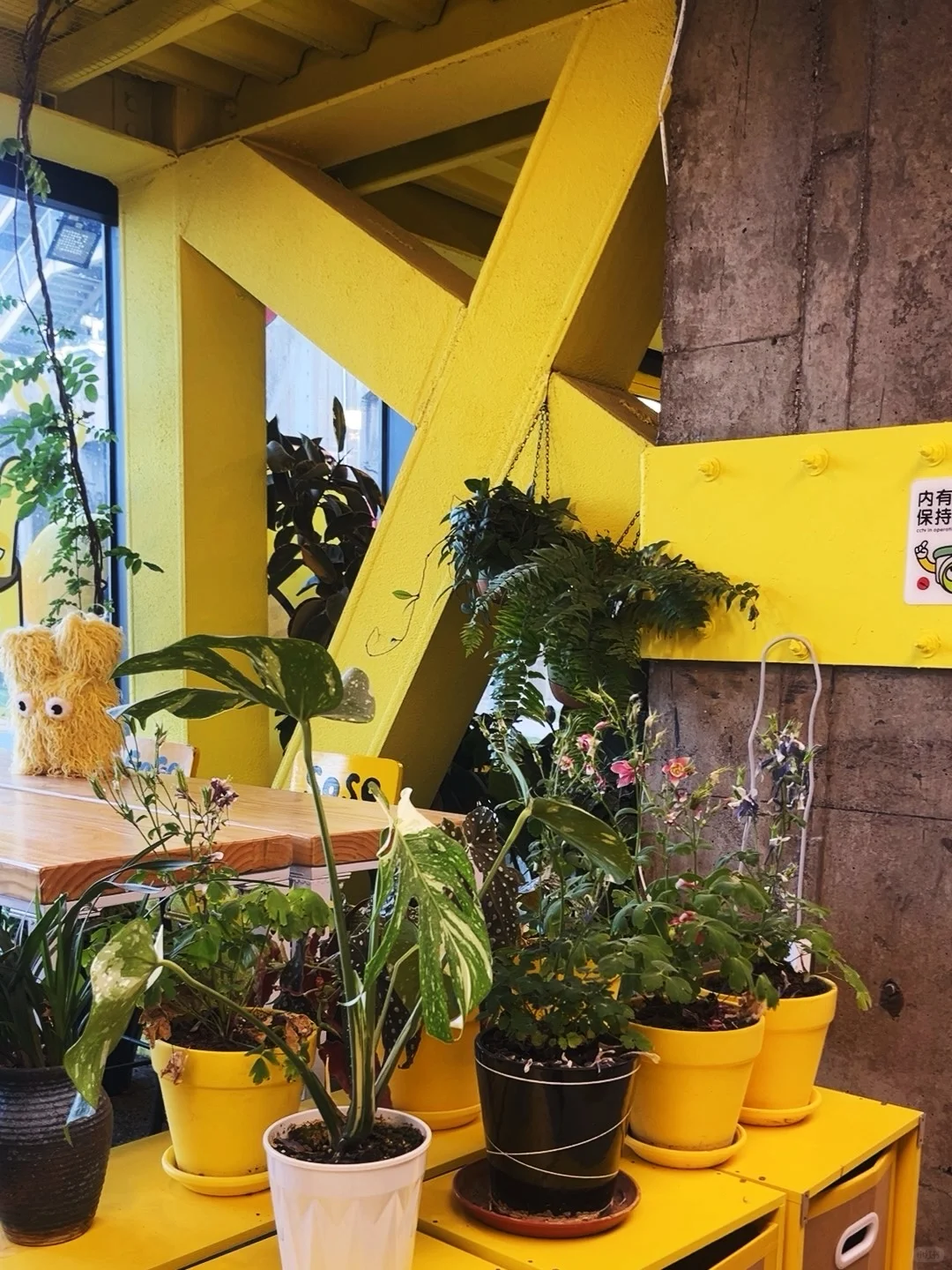 闯入多巴胺黄色宇宙！?甜酷女孩必冲！