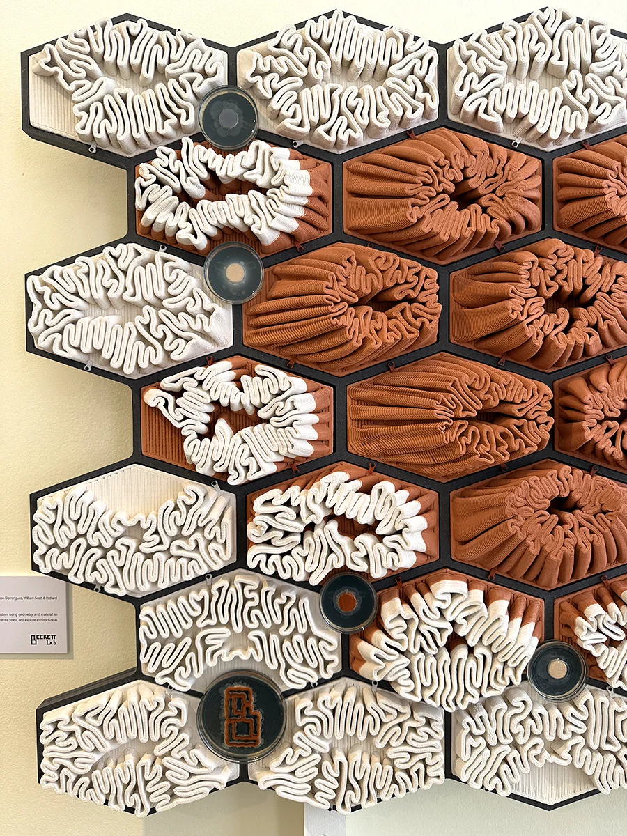 伦敦设计双年展|伦敦六月逛展|萨默塞特宫