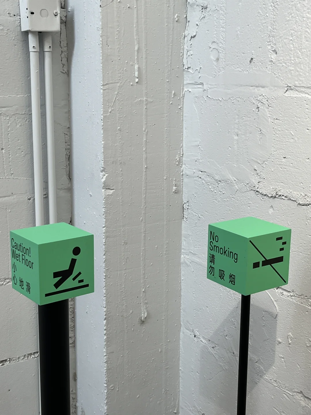 喜欢的展览冒高温也要看