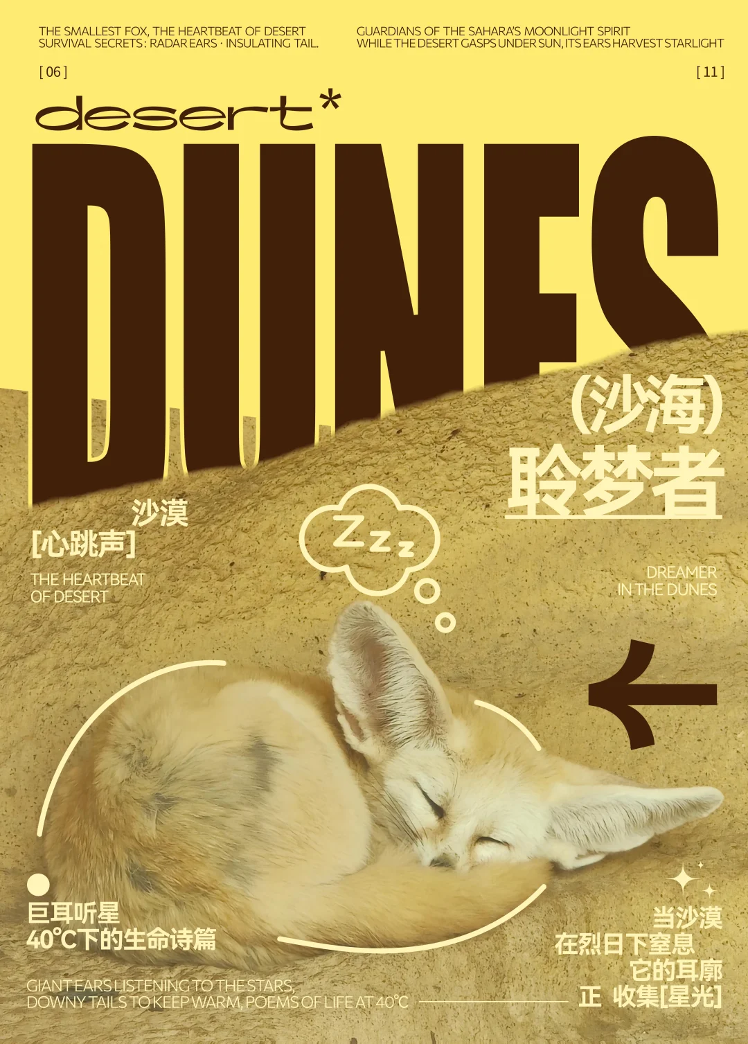 版式练习 | 海报设计