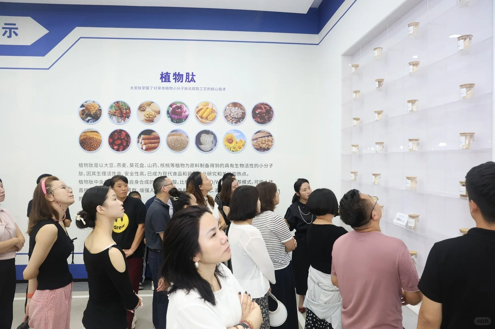 小分子肽工厂溯源！