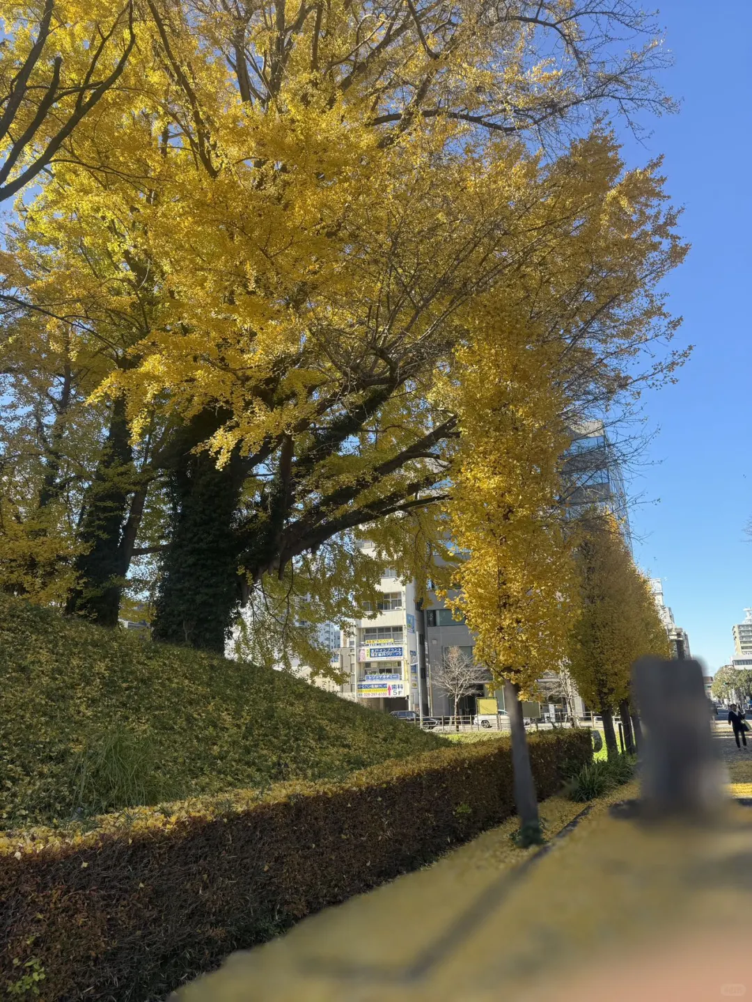 2024上海旅游交易会圆满结束?