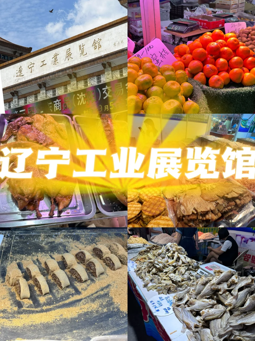 大学生勇闯辽宁工业展览馆版 上?️