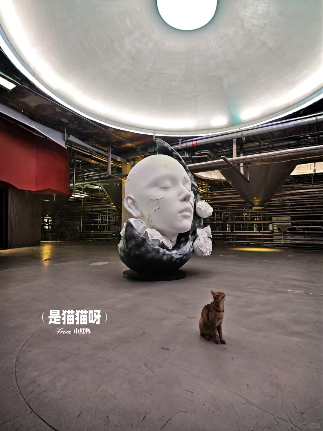 深圳新展?先锋花园?附带机位调色~