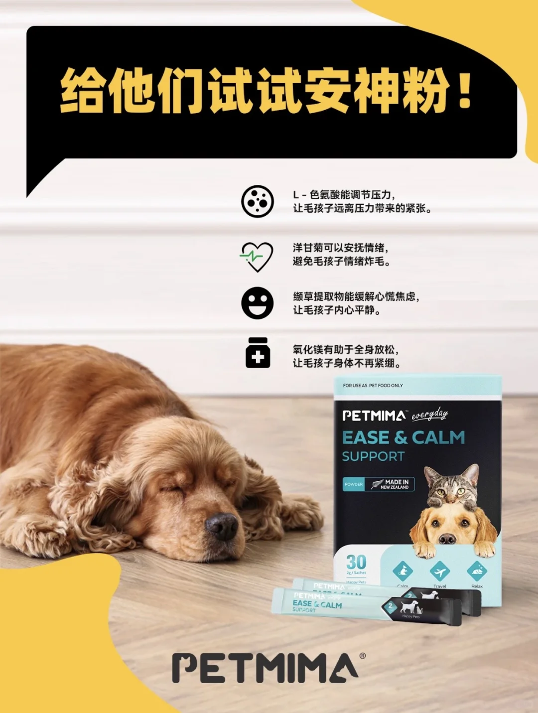 PETMIMA 送你亚宠展门票啦！一起来玩！
