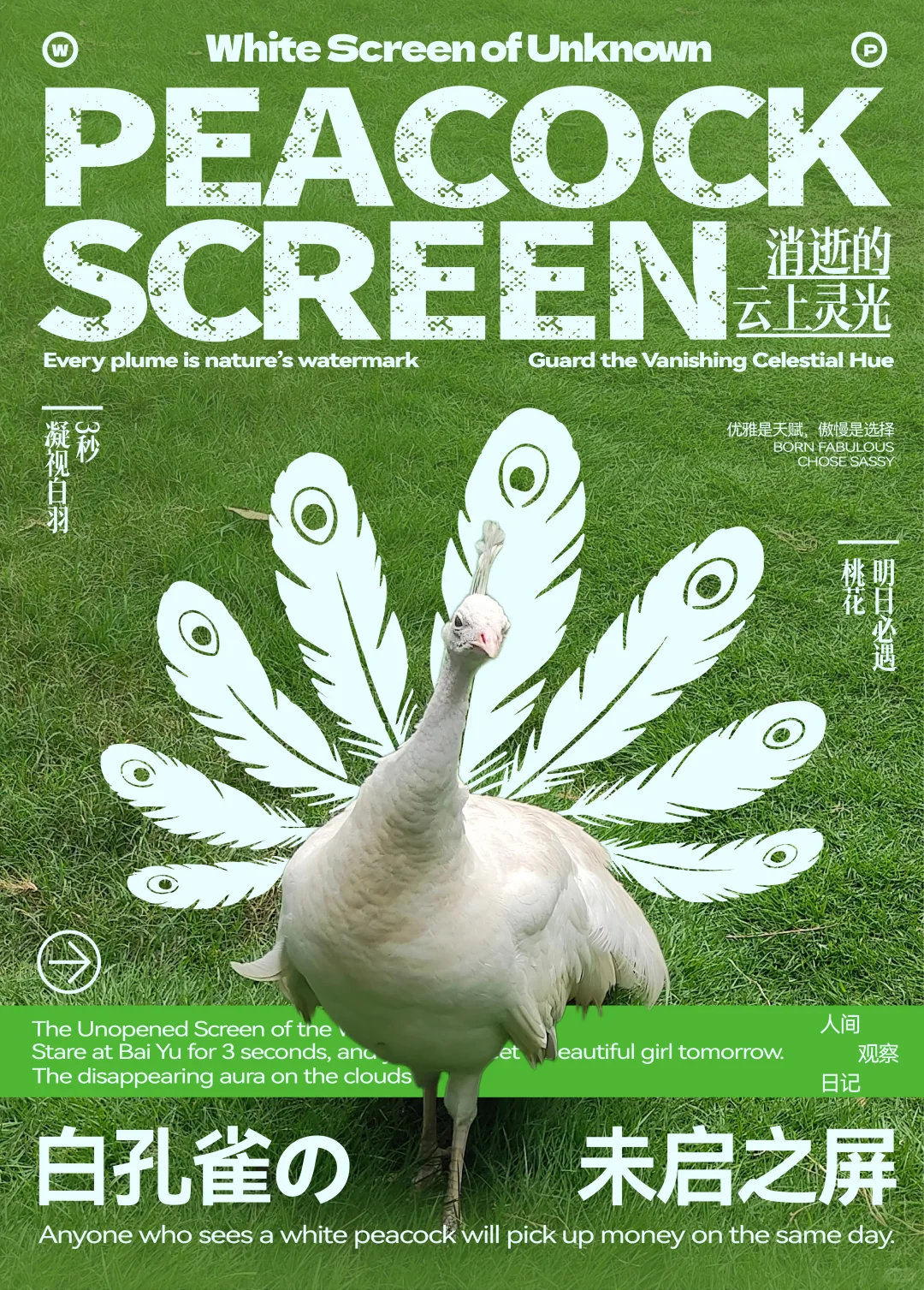 版式练习 | 海报设计