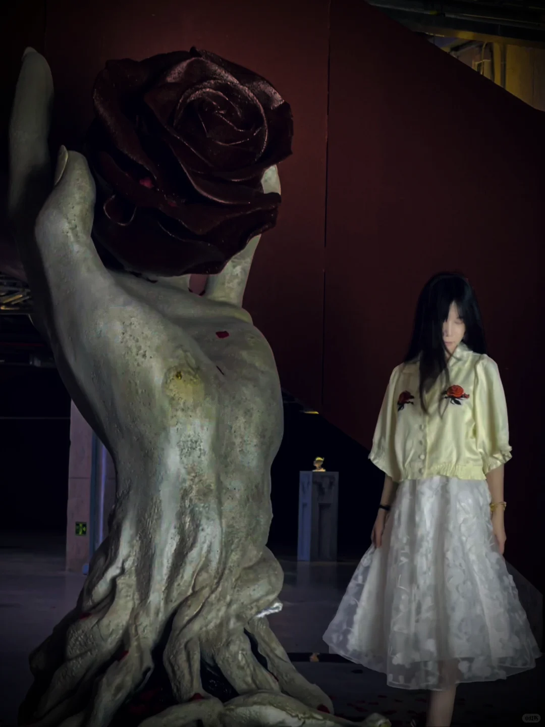 深圳新展｜发朋友圈被赞爆了