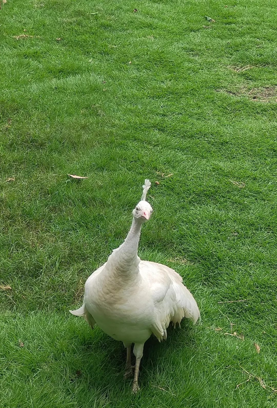 版式练习 | 海报设计