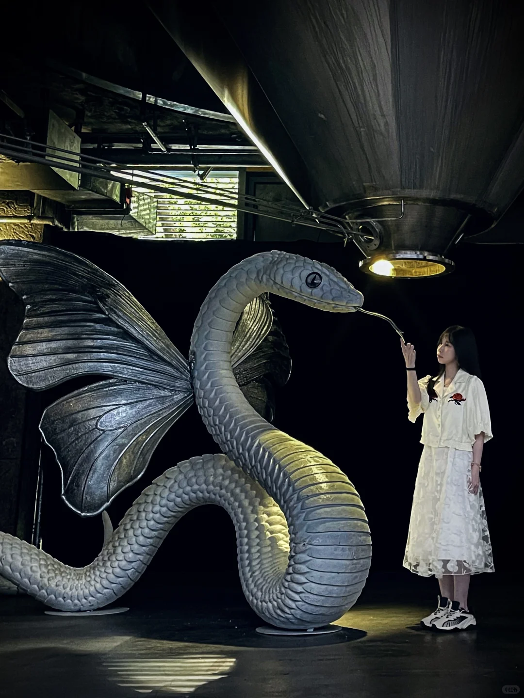 深圳新展｜发朋友圈被赞爆了