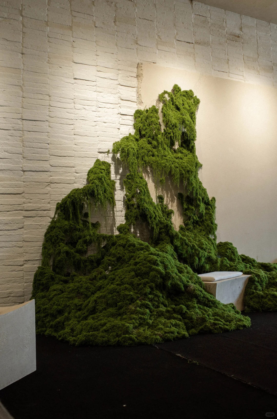 误入一片绿色海洋