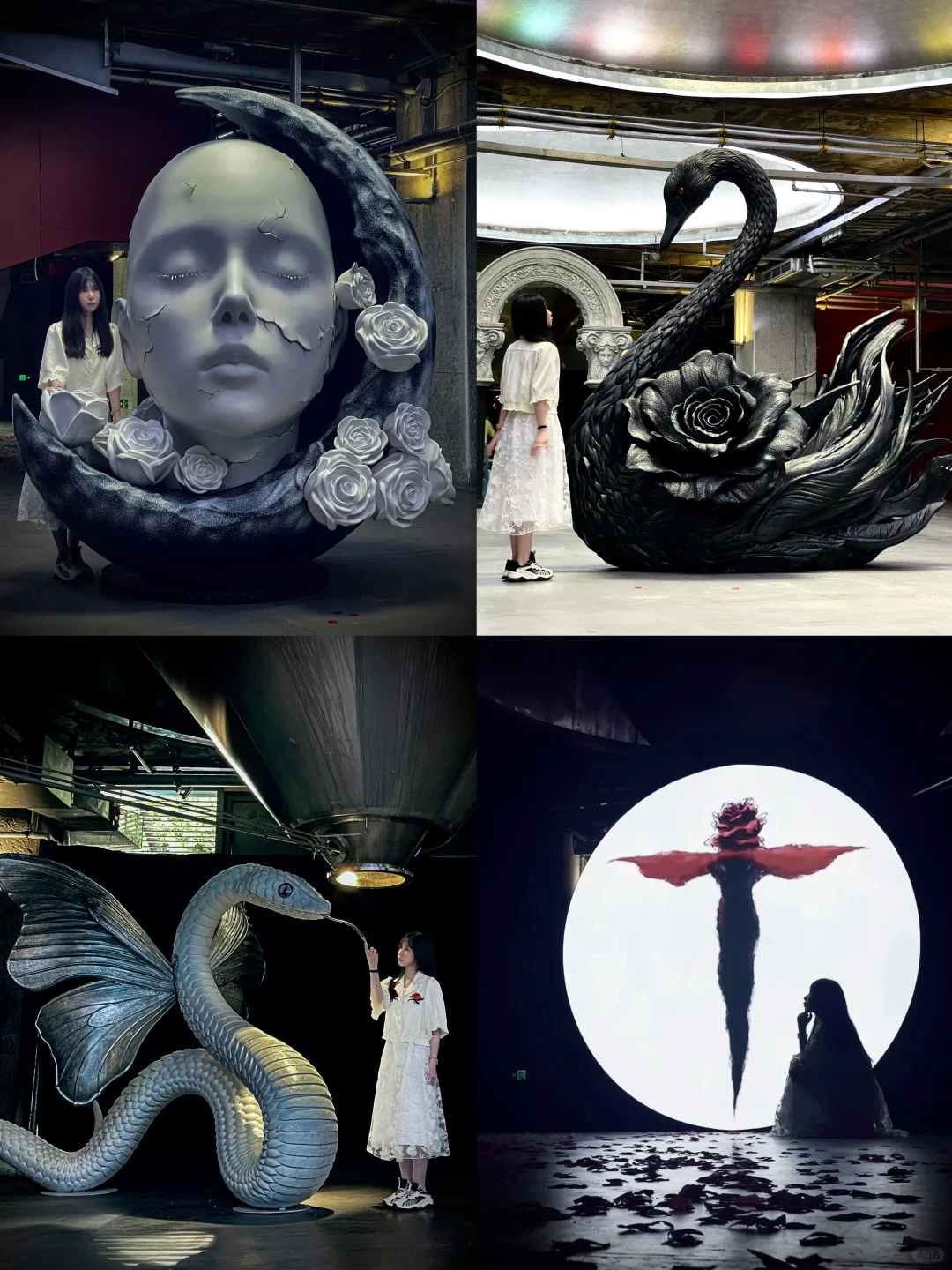 深圳新展｜发朋友圈被赞爆了