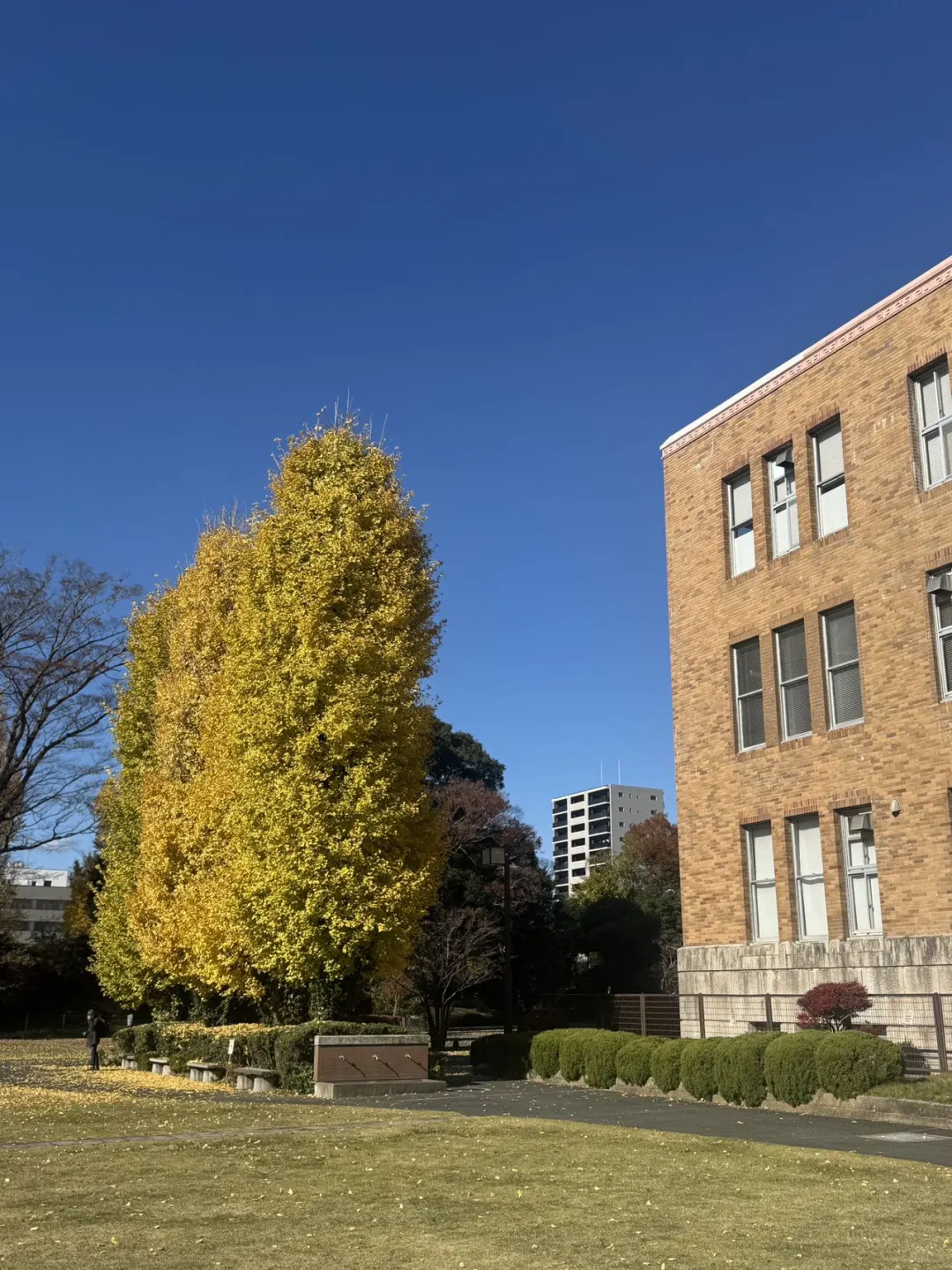 2024上海旅游交易会圆满结束?