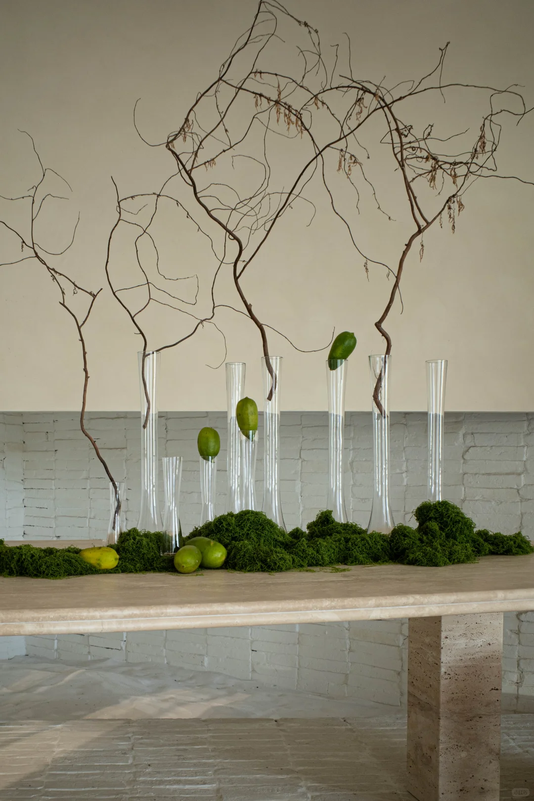 误入一片绿色海洋