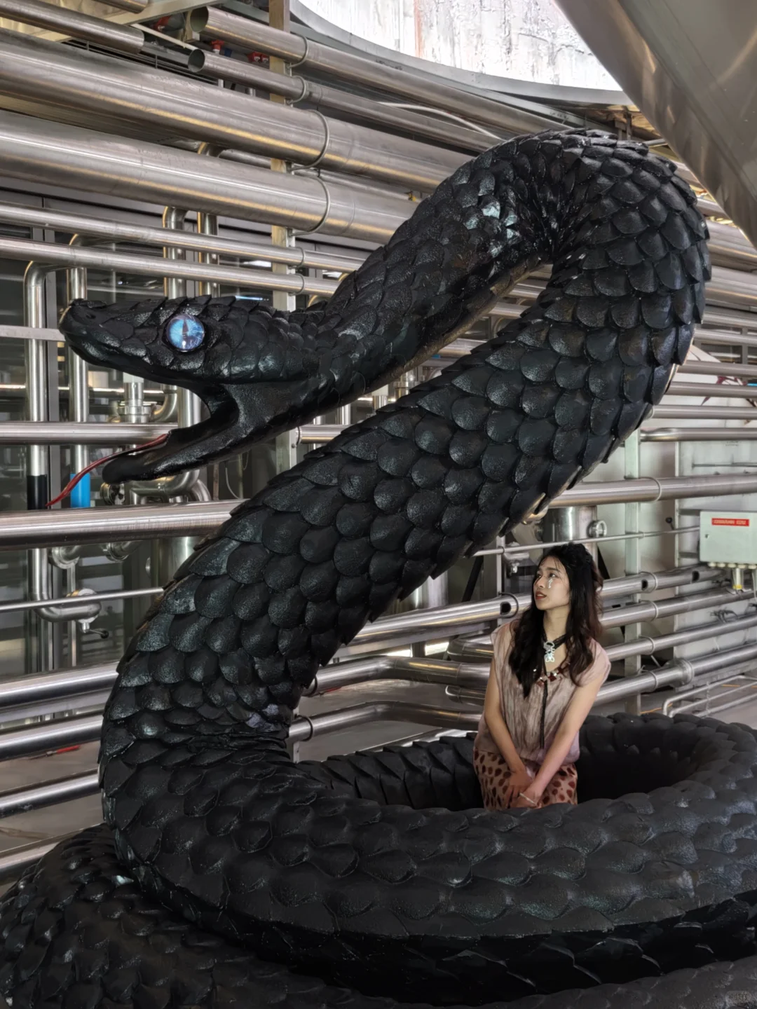 深圳新展?先锋花园?附带机位调色~