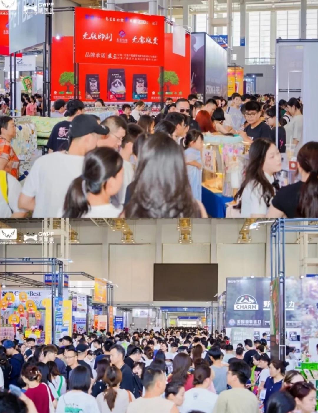 上海亚宠展超多福利活动它来啦！