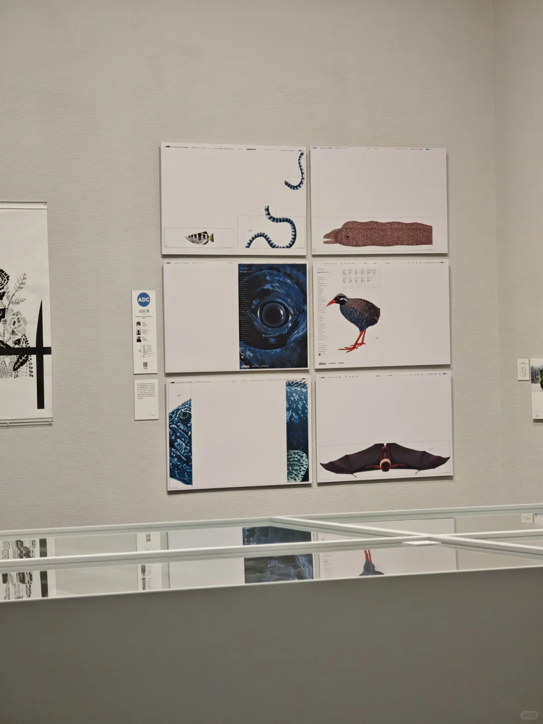 深圳首展｜日本创意天花板，东京ADC展