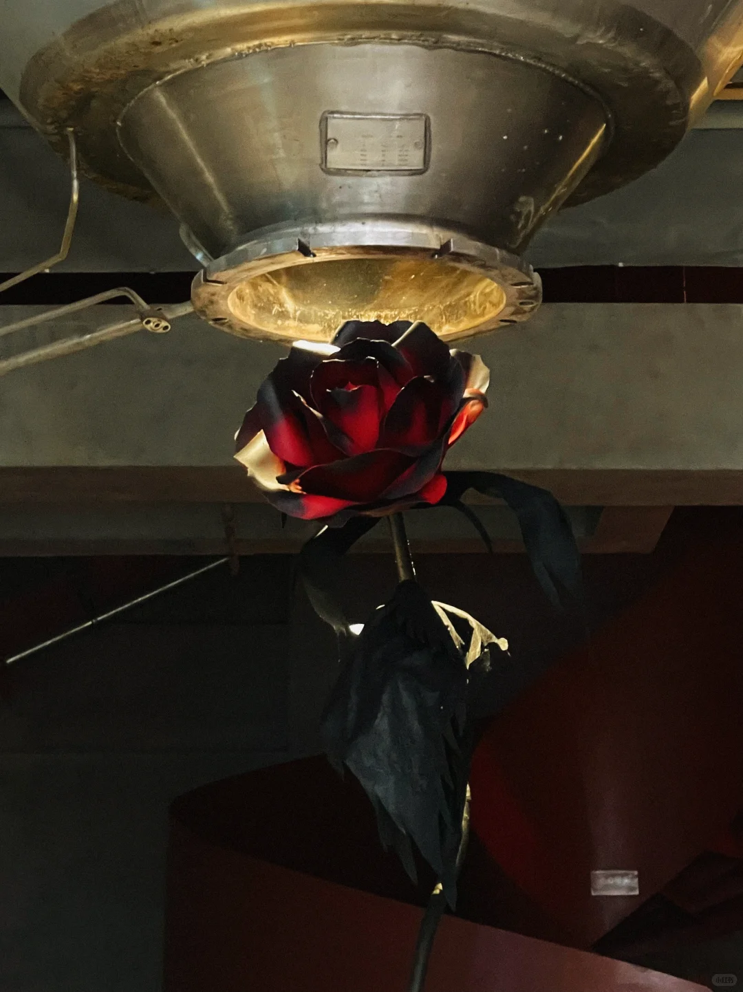 深圳新展｜发朋友圈被赞爆了