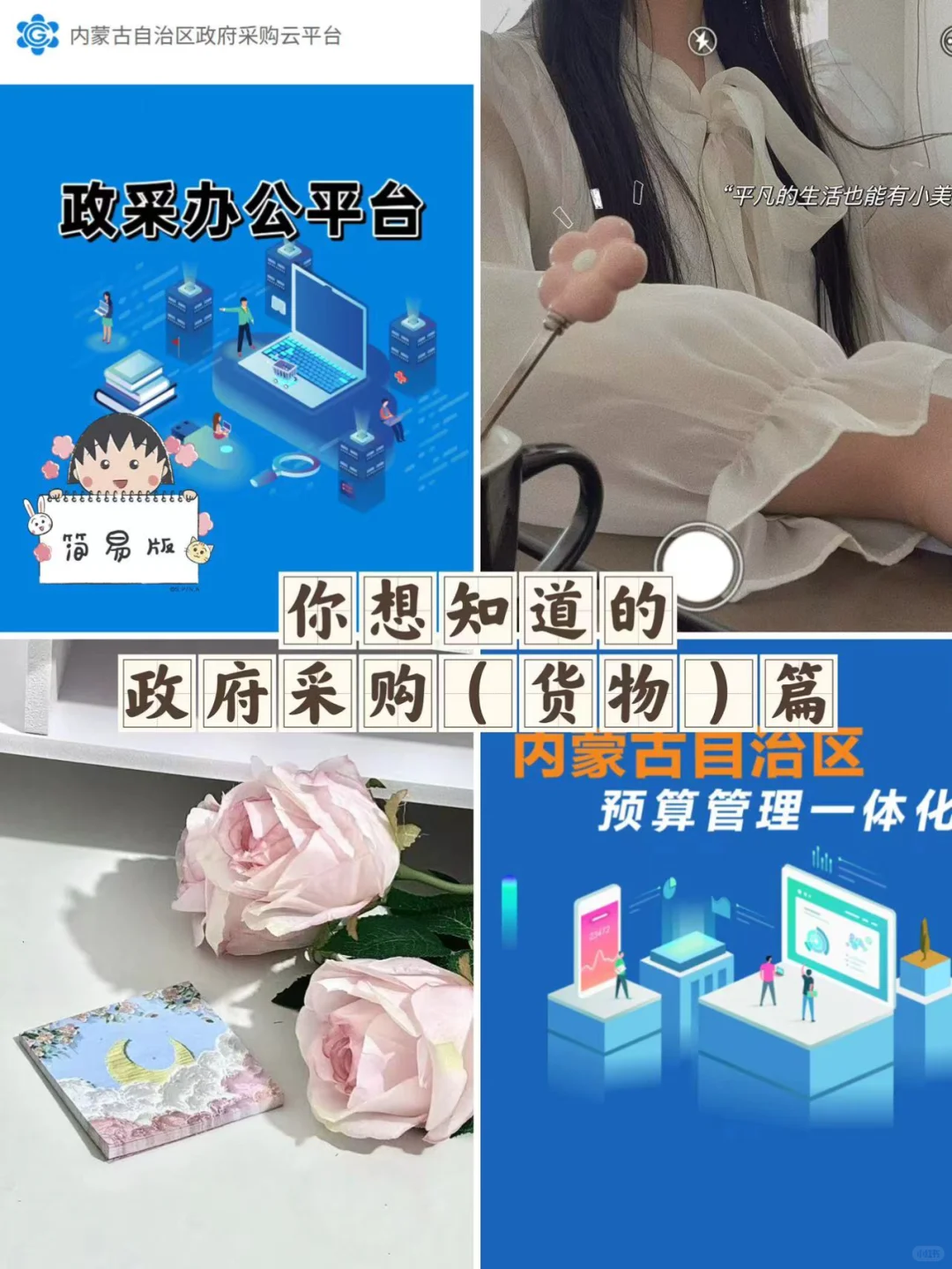 体制内-小会计-政府采购货物篇