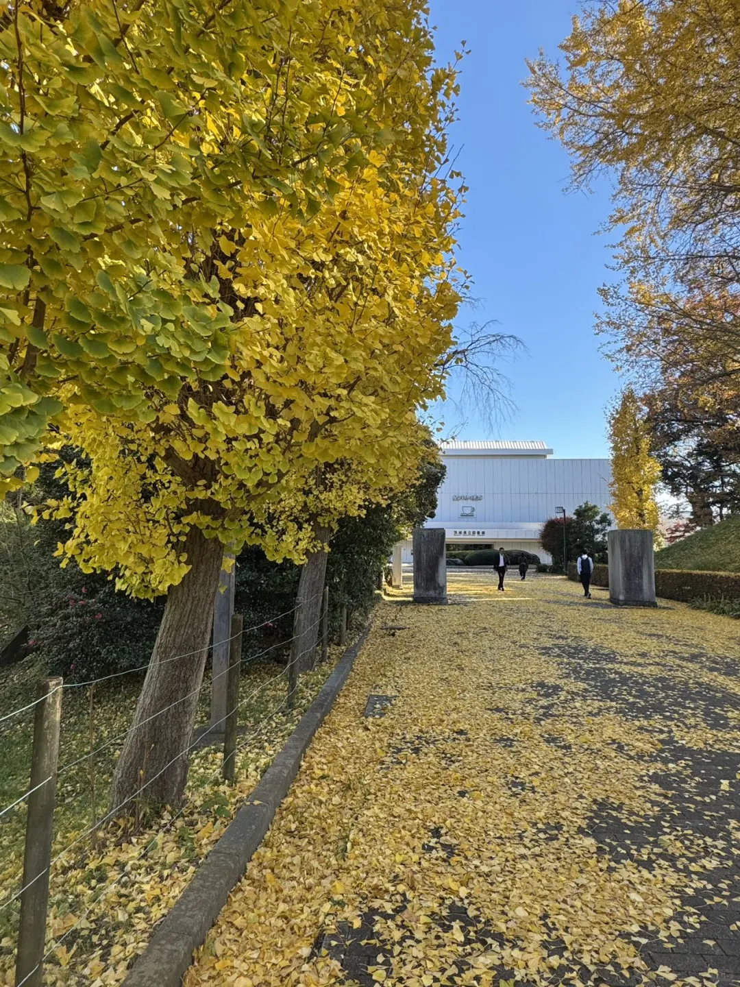 2024上海旅游交易会圆满结束?