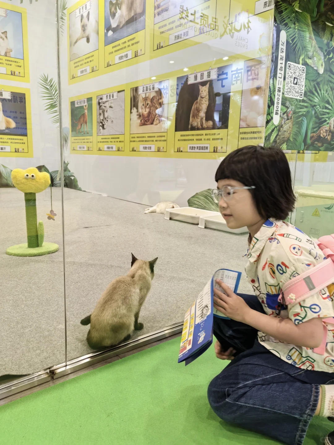 宠物博览会初体验