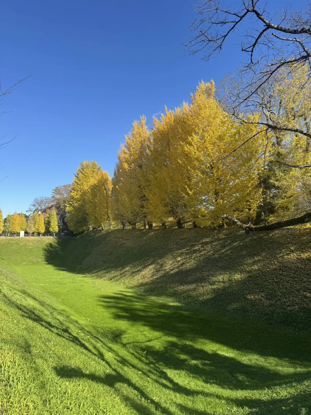 2024上海旅游交易会圆满结束?