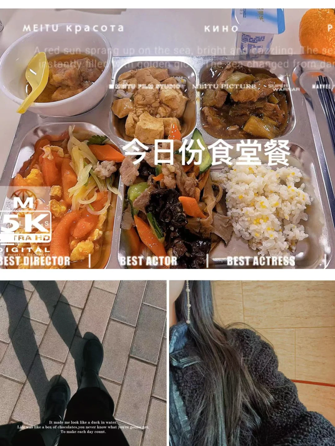 体制内-小会计-政府采购货物篇