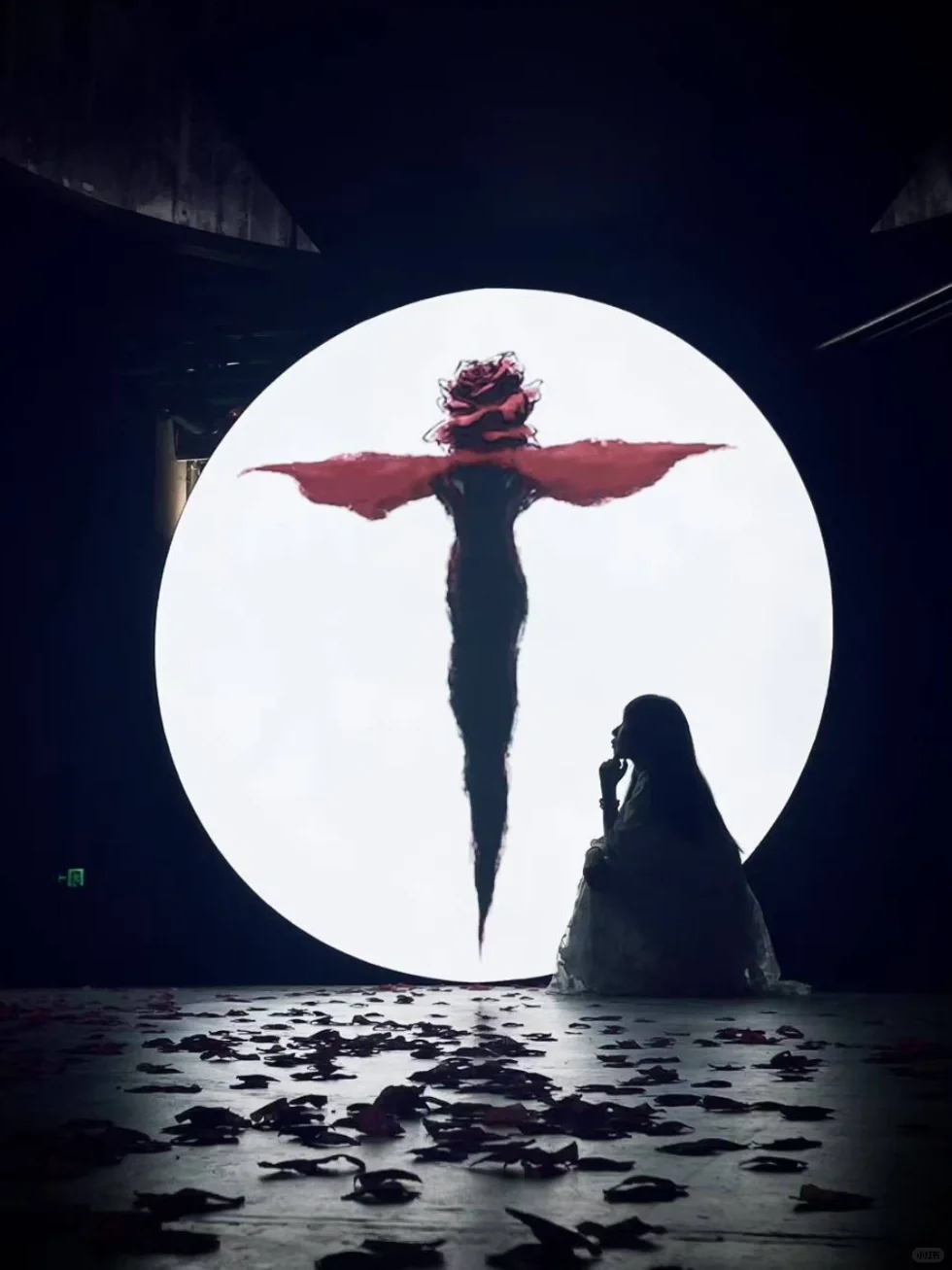 深圳新展｜发朋友圈被赞爆了