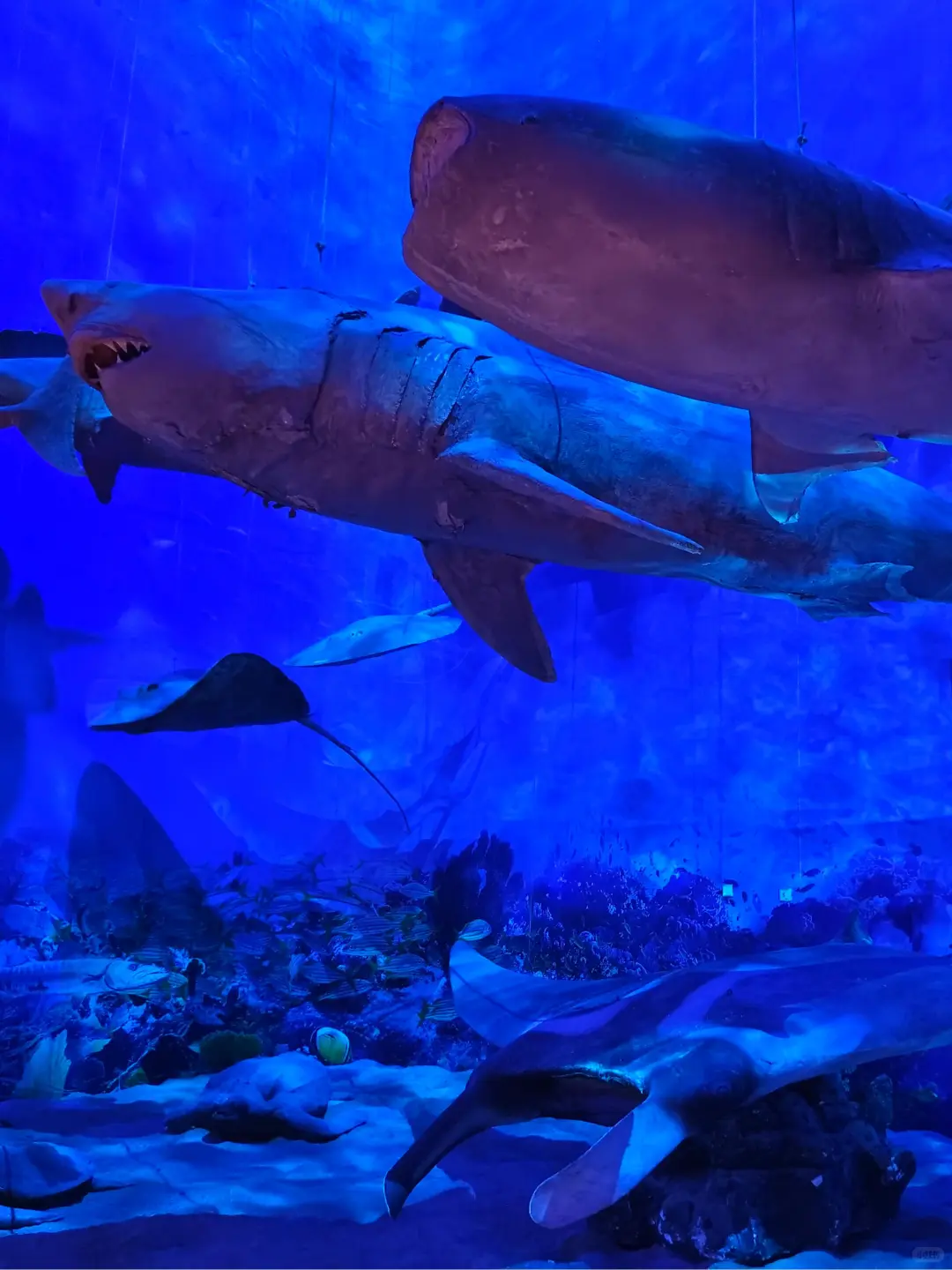 版式练习 | 海报设计