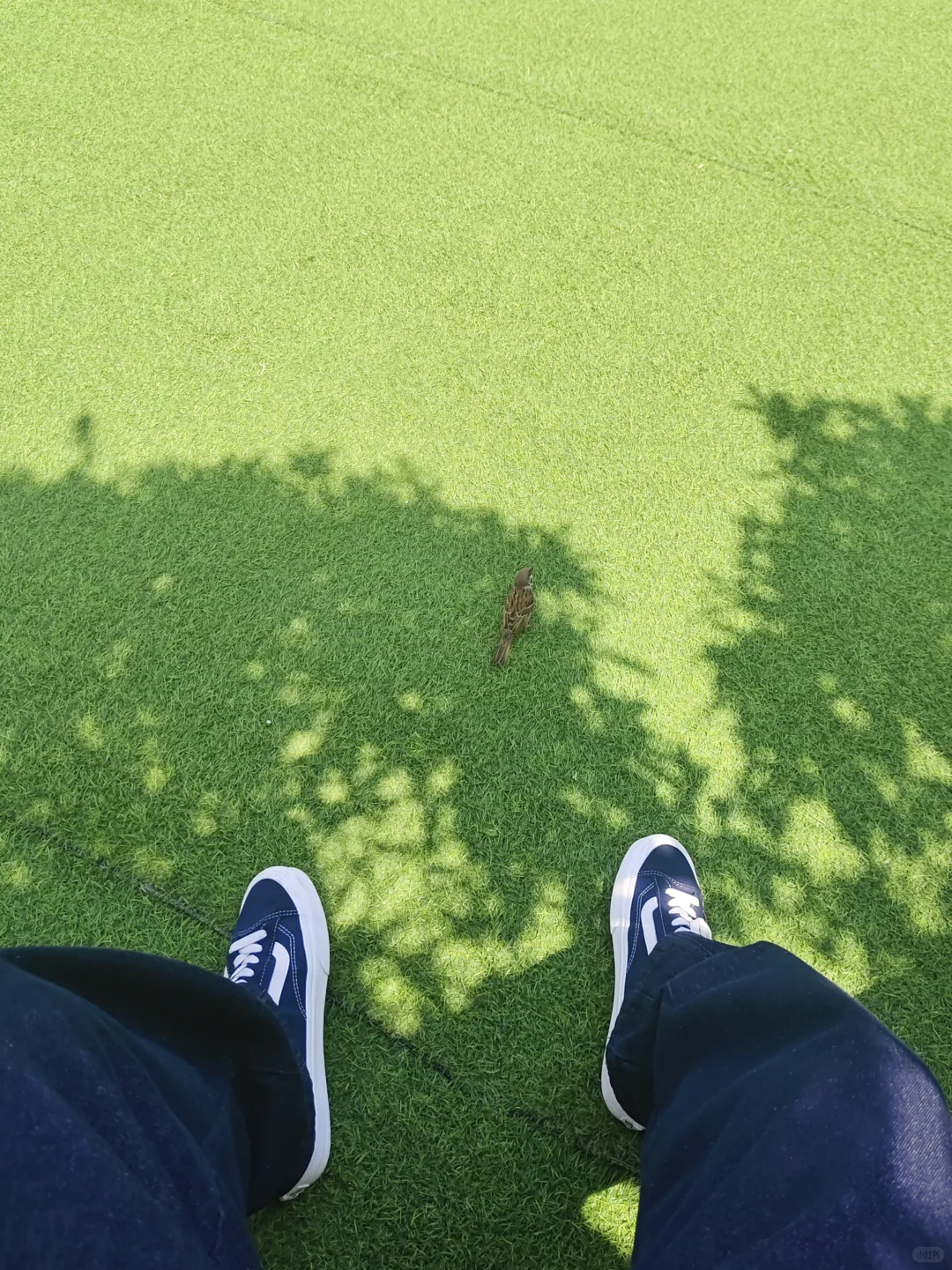 版式练习 | 海报设计