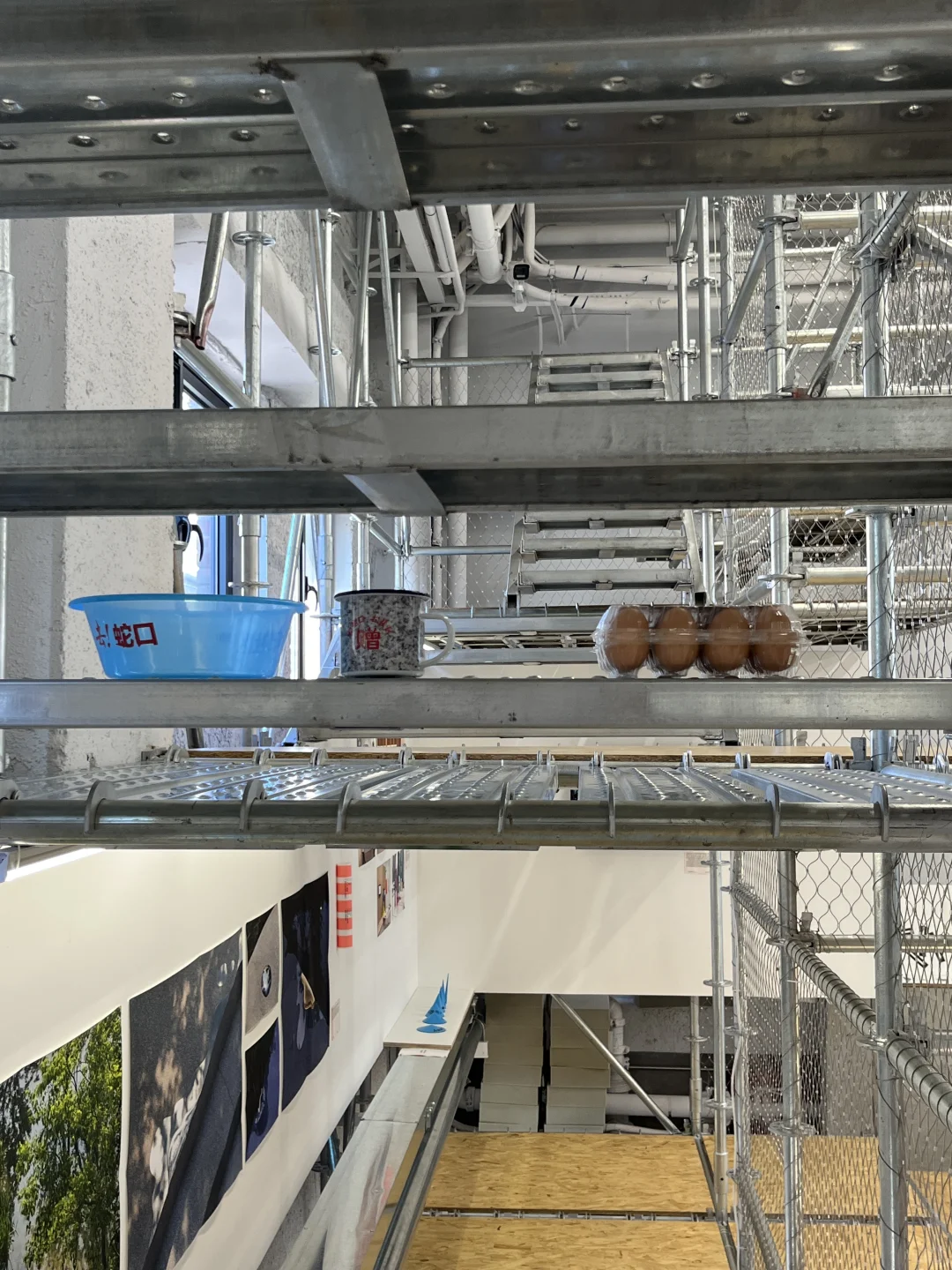 喜欢的展览冒高温也要看