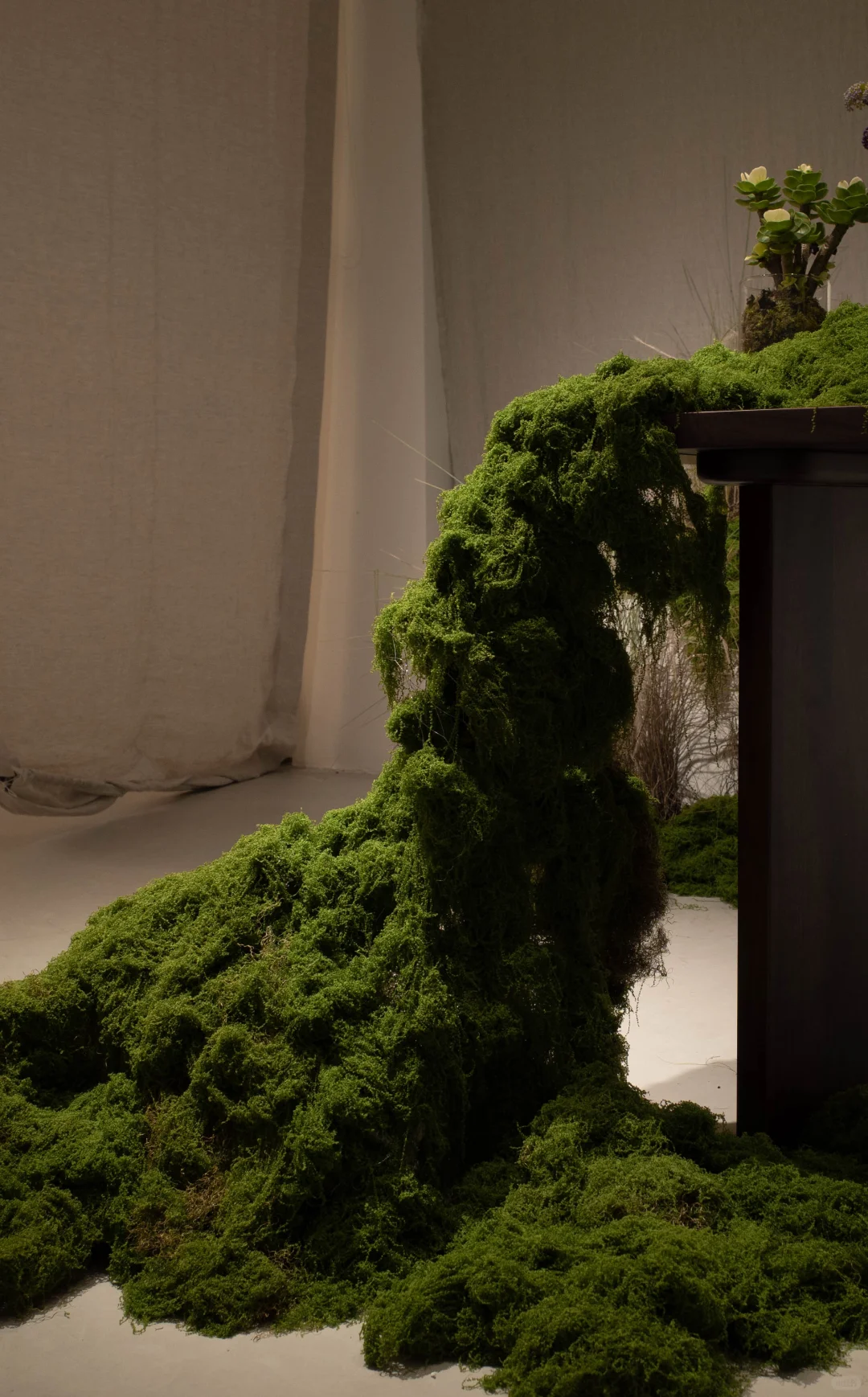 误入一片绿色海洋