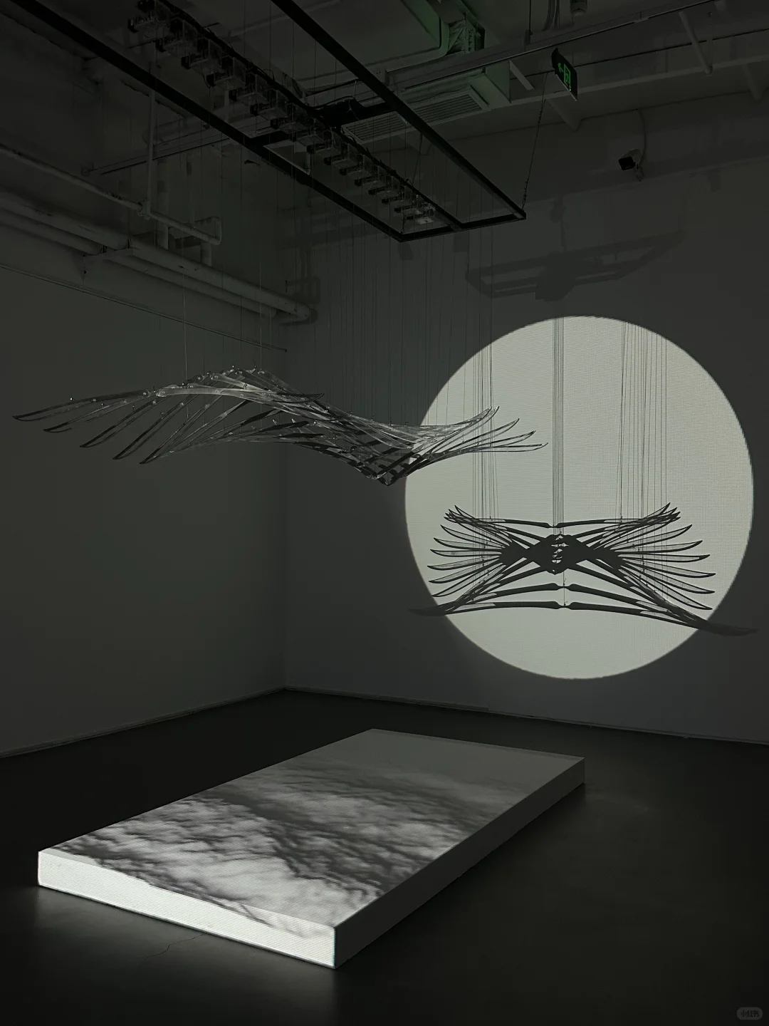 「.GIF」 ⚙️本年度最喜欢的装置展出现了‼️