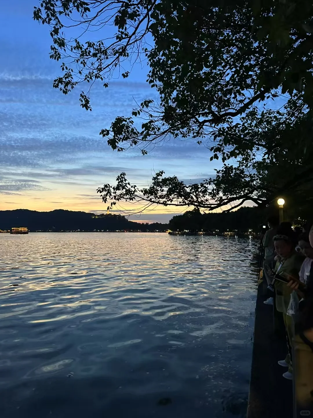 秋招或转行找采购岗,推荐这两本书!