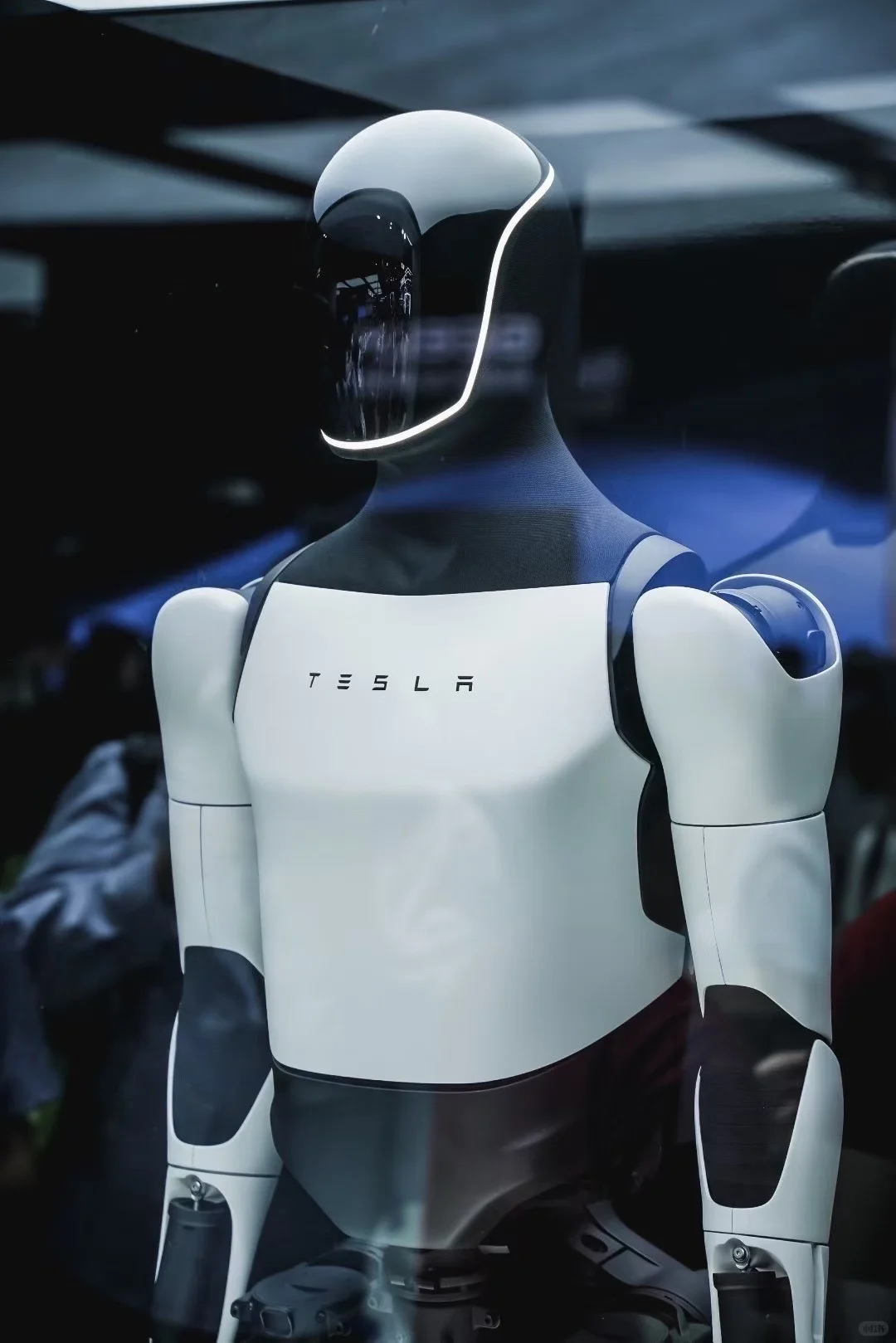 世界人工智能大会大家都去了吗?