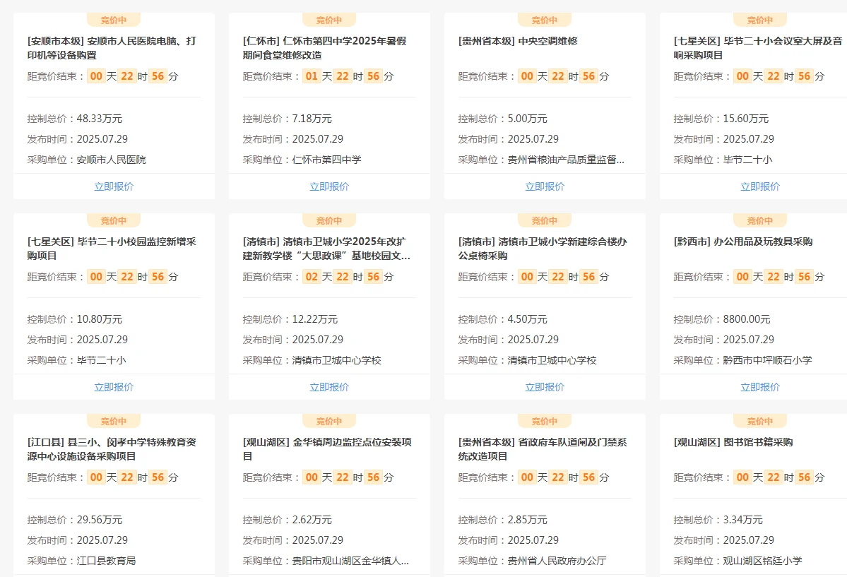 政府采购项目，虽然小，但是香