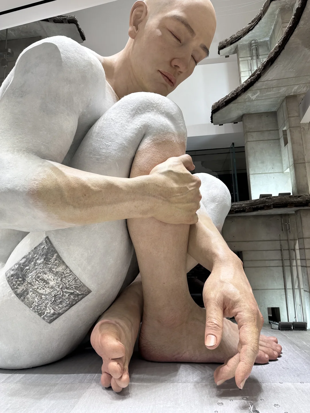 00后欧美线货代去看巨人展了