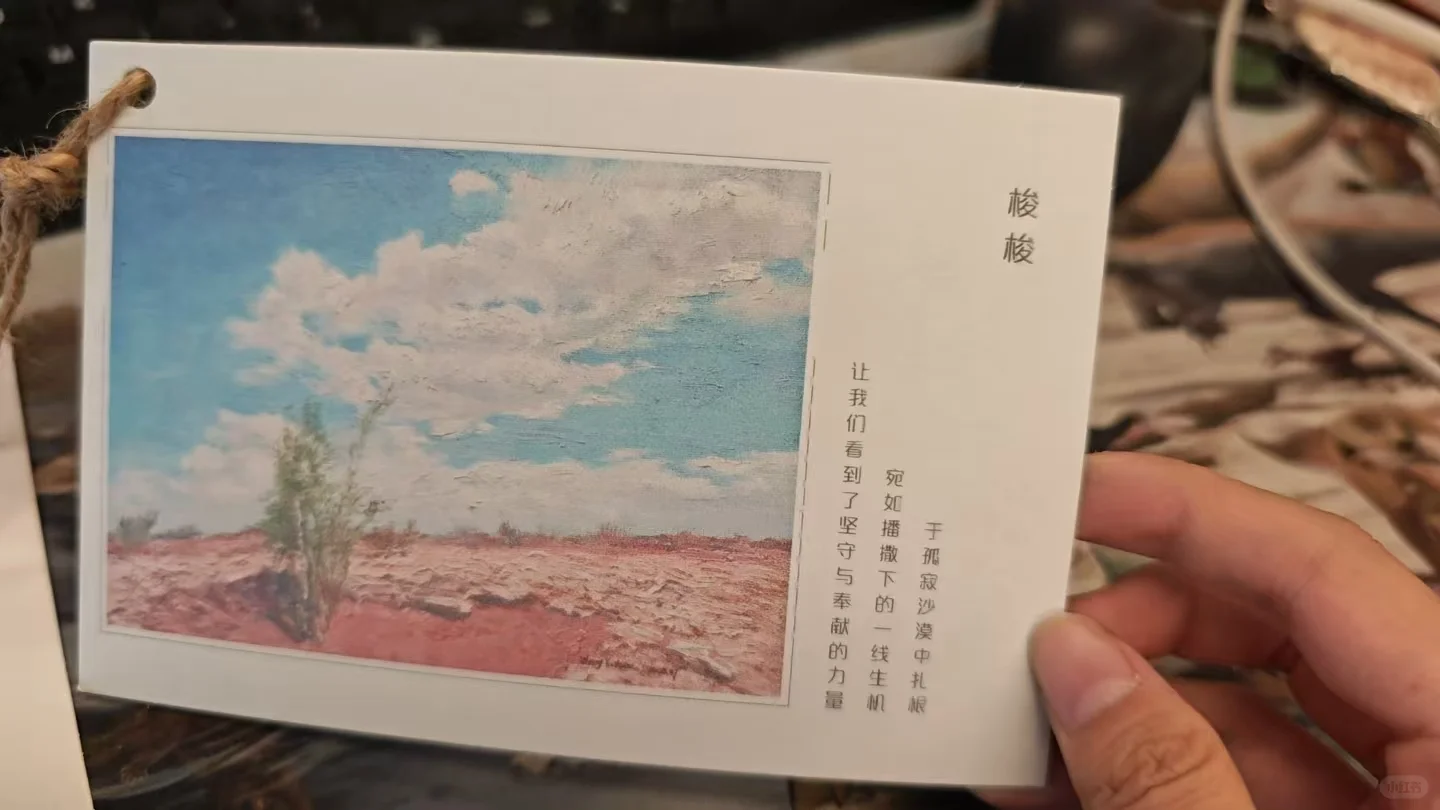 我们一起去保定自然博物馆看展啊?