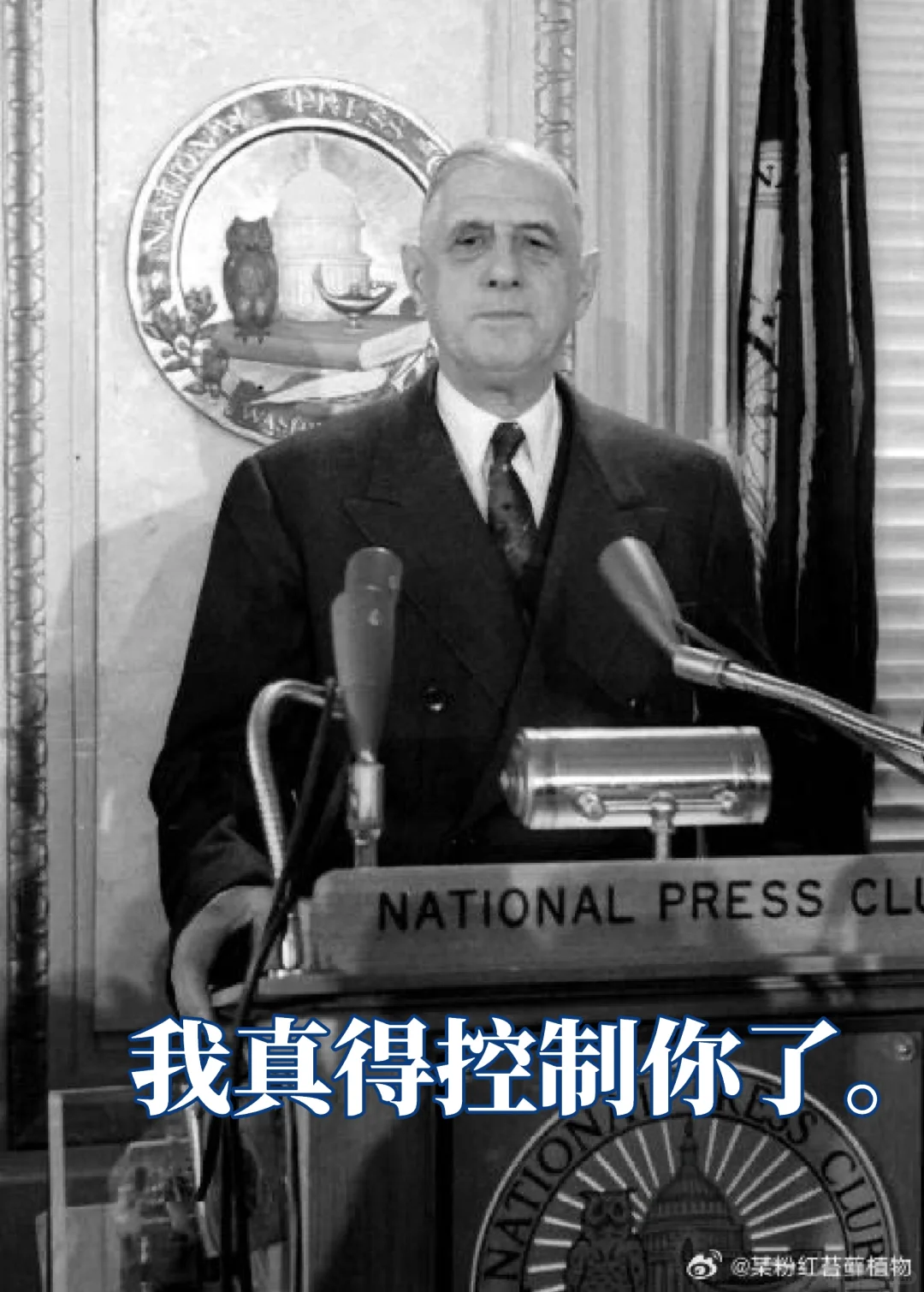 我没要求你永远保持稳定